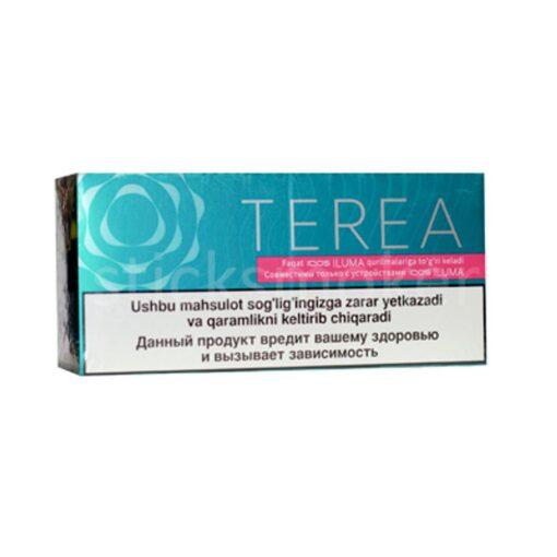 Terea_Turquoise_price_in_pakistan